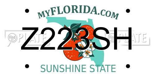 Z223SH Florida License Plate