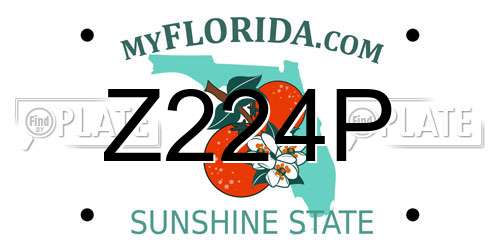Z224P Florida License Plate