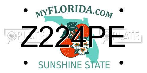 Z224PE Florida License Plate