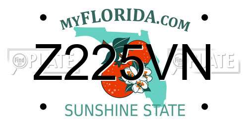 Z225VN Florida License Plate