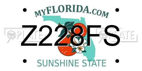 Z228FS Florida License Plate