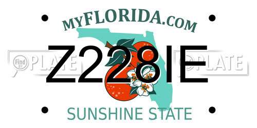 Z228IE Florida License Plate