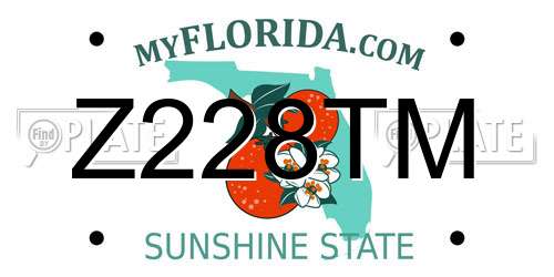 Z228TM Florida License Plate