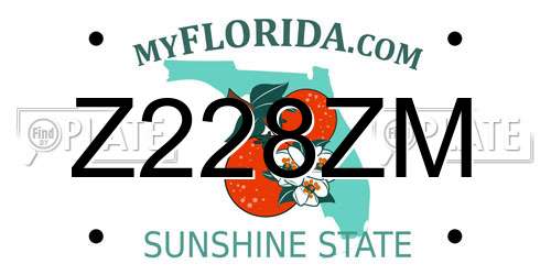 Z228ZM Florida License Plate