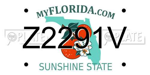 Z2291V Florida License Plate