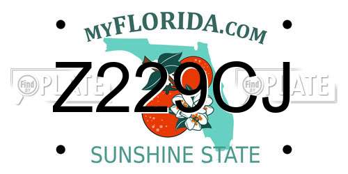 Z229CJ Florida License Plate