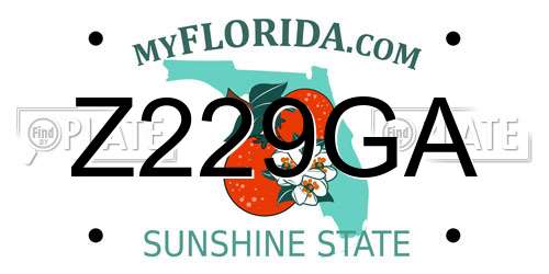Z229GA Florida License Plate