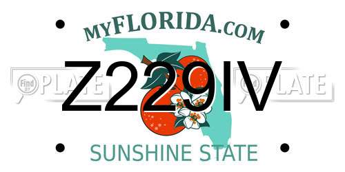 Z229IV Florida License Plate