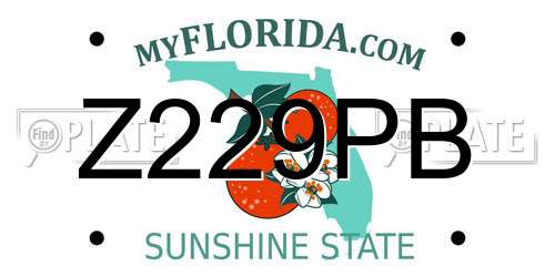 Z229PB Florida License Plate