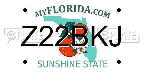 Z22BKJ Florida License Plate