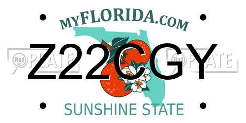 Z22CGY Florida License Plate