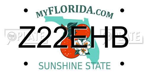 Z22EHB Florida License Plate
