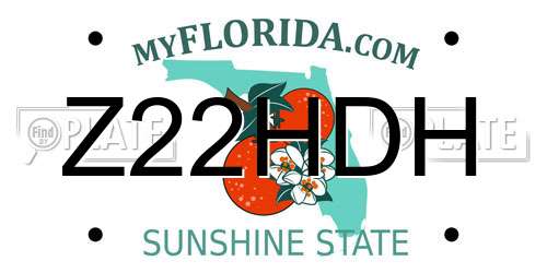 Z22HDH Florida License Plate