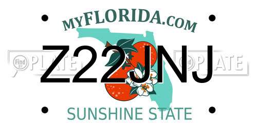 Z22JNJ Florida License Plate