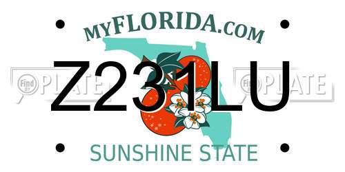 Z231LU Florida License Plate