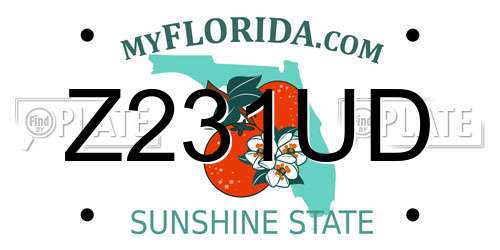 Z231UD Florida License Plate