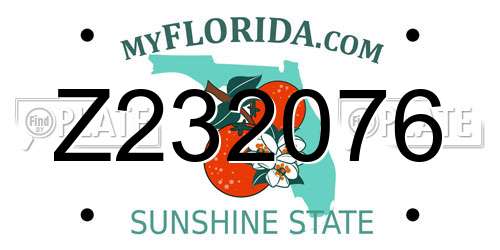 Z232076 Florida License Plate