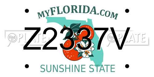 Z2337V Florida License Plate