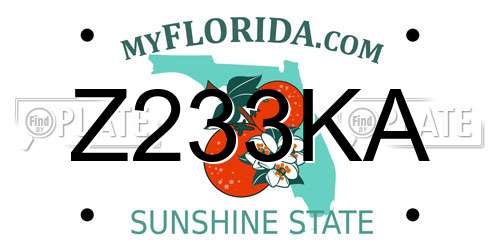 Z233KA Florida License Plate