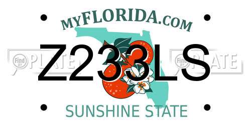 Z233LS Florida License Plate