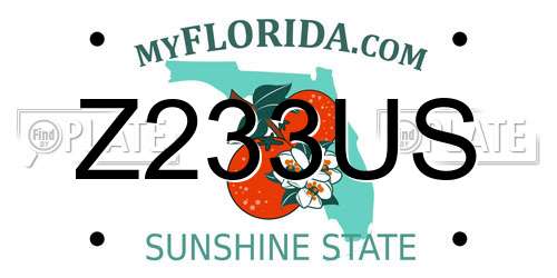 Z233US Florida License Plate