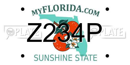 Z234P Florida License Plate