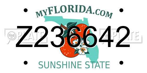 Z236642 Florida License Plate