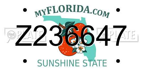 Z236647 Florida License Plate