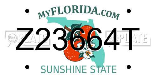 Z23664T Florida License Plate