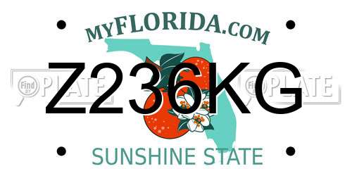 Z236KG Florida License Plate