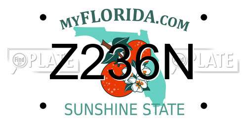 Z236N Florida License Plate