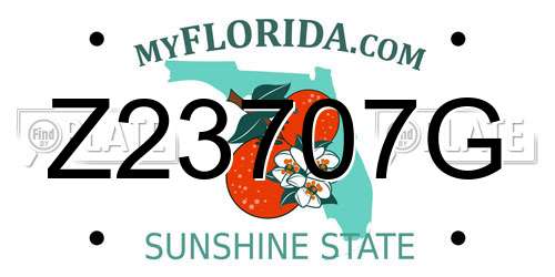 Z23707G Florida License Plate