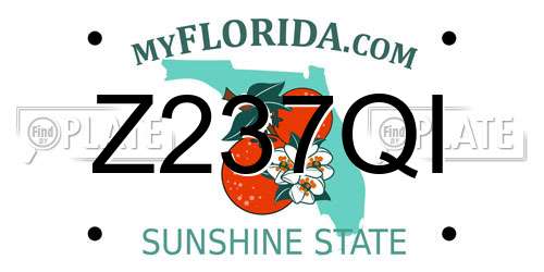 Z237QI Florida License Plate