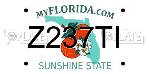 Z237TI Florida License Plate