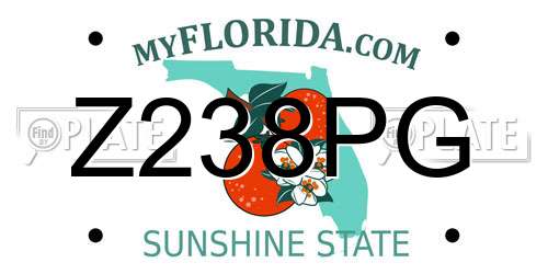 Z238PG Florida License Plate