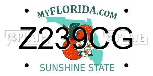Z239CG Florida License Plate
