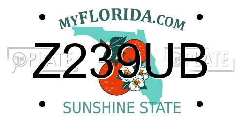 Z239UB Florida License Plate