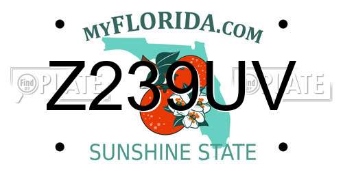 Z239UV Florida License Plate