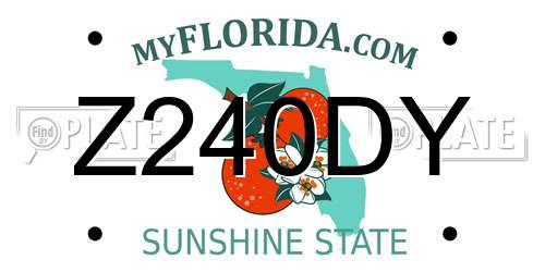 Z240DY Florida License Plate