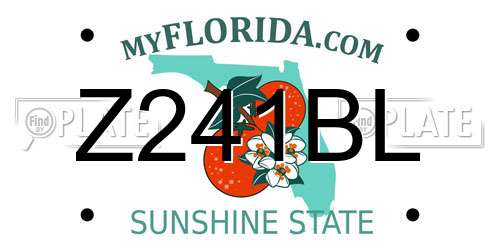 Z241BL Florida License Plate