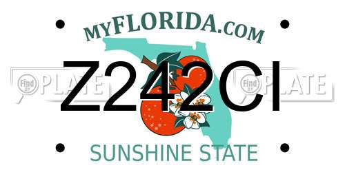 Z242CI Florida License Plate
