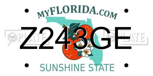 Z243GE Florida License Plate