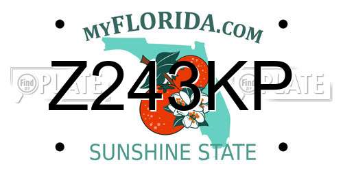 Z243KP Florida License Plate
