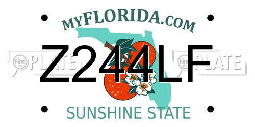 Z244LF Florida License Plate