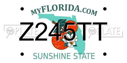 Z245TT Florida License Plate