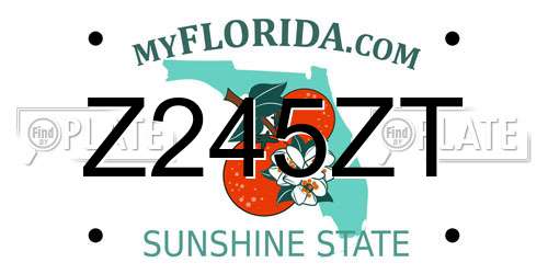 Z245ZT Florida License Plate