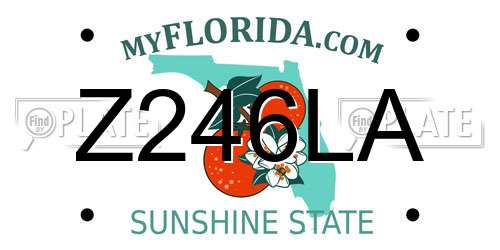 Z246LA Florida License Plate