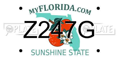 Z247G Florida License Plate