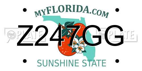Z247GG Florida License Plate
