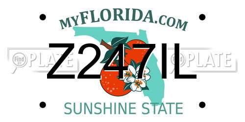 Z247IL Florida License Plate